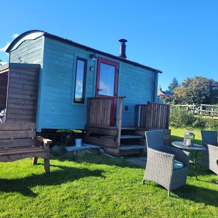 The Shepherds Hut At Forestview Farm Greenisland Zewnętrze zdjęcie