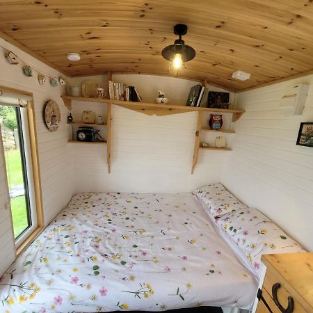 The Shepherds Hut At Forestview Farm Greenisland Zewnętrze zdjęcie
