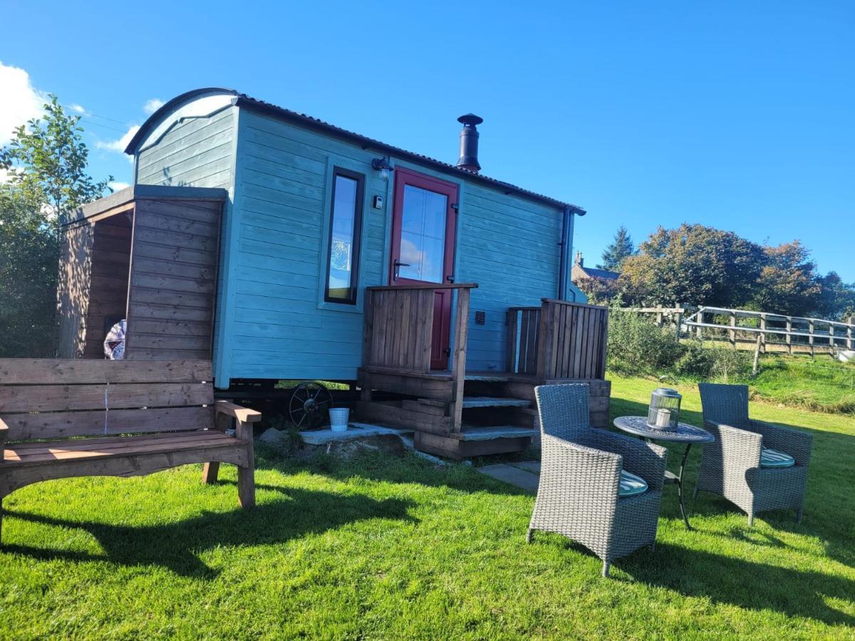 The Shepherds Hut At Forestview Farm Greenisland Zewnętrze zdjęcie